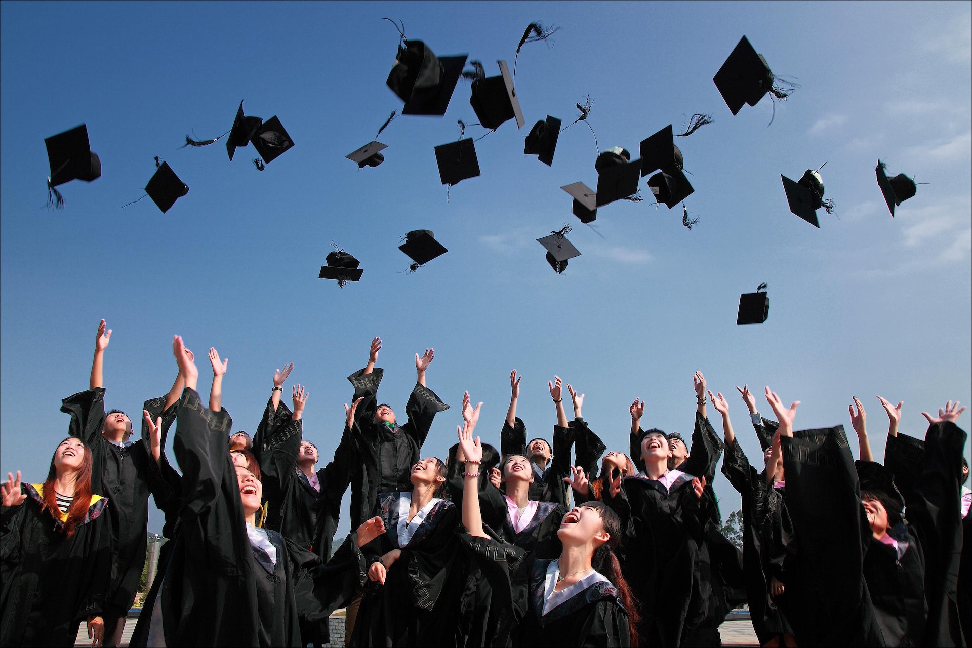 Studia licencjackie, magisterskie, podyplomowe – czym się różnią, dla kogo są?